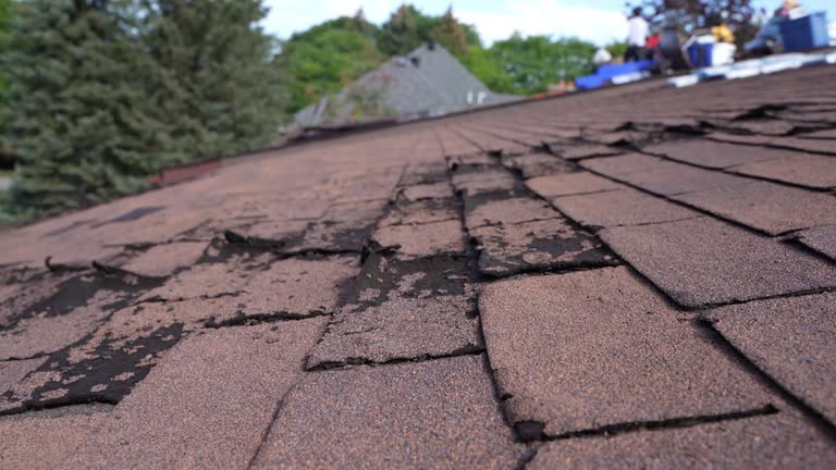 Best Metal Roofing Installation  in Mansfield Center, CT